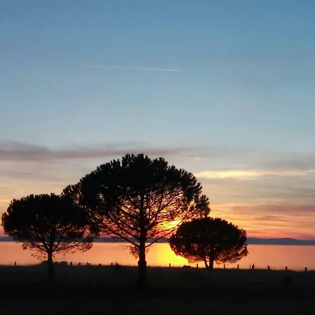 Josip Apartament *